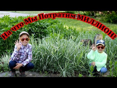 Эстафета 21 Вопрос / Отвечаем на вопросы! На что Мы потратим Миллион!