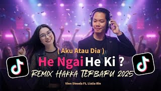Download Lagu HE NGAI HE KI - RUDY Ft. VIVI || REMIX HAKKA Terbaru 2025 MP3