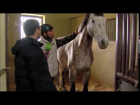 ახალუბნის საცხენოსნო კლუბი - გადაცემა \'ეკოვიზია\' GDS TV