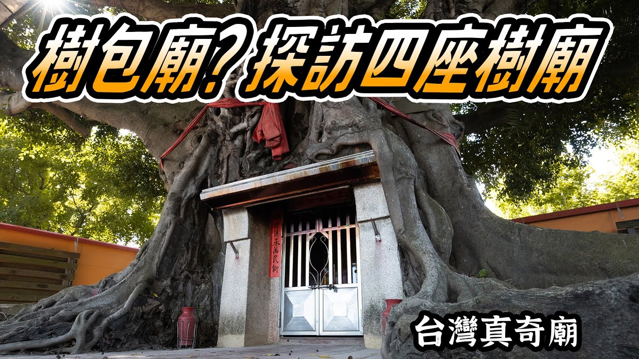 樹和廟融合的究極體!? 探索四座樹包廟 4K ｜ 台灣真奇廟EP15