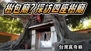樹和廟融合的究極體!? 探索四座樹包廟 4K  台灣真奇廟EP15