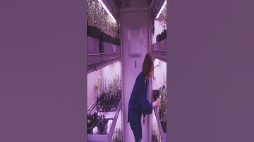 Agricultural Science Research | Science Conferences and Awards