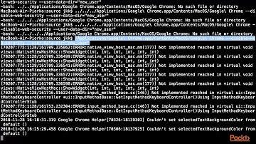 Deep Learning Projects with JavaScript:  Loading Pre-Trained CNN and LSTM Models | packtpub.com