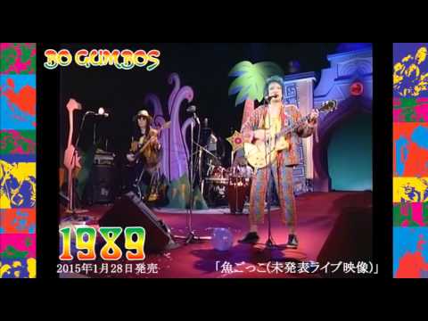 BO GUMBOS "魚ごっこ (Live from "ずいきの涙 / Best Of Bo Gumbos Live Recordings")"