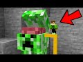 Entrei na Cabeça do CREEPER no Minecraft