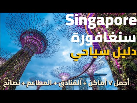 فيديو: متاحف في سنغافورة: 6 متاحف ترفيهية تستحق الزيارة