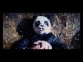 Panda Bear Attack - Tropic Thunder
