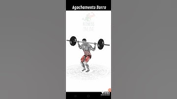Agachamento Barra