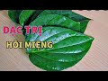 Cách Trị Hôi Miệng Hơi Thở Có Mùi Cực Nhanh Hiệu Quả Nhất Ngay Tại Nhà Mà Không Phải Tốn Tiền