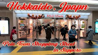 Walking in Hokkaido, Japan. Pole Town Shopping Street in Sapporo. ORANGE ua