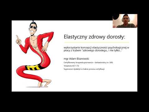 Adam Elżanowski - Wykorzystanie koncepcji elastyczności w pracy z trybem "zdrowego dorosłego"