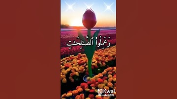 تلاوة سورة التين تلاوة خاشعة ❤️