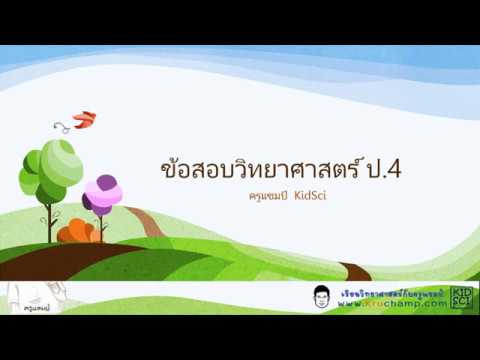 ติวสอบวิทยาศาสตร์ ป.4 TEDET กับครูแชมป์ | สรุปเนื้อหาที่เกี่ยวข้องข้อสอบ คณิตศาสตร์ ส สว ท ป 4ที่สมบูรณ์ที่สุด