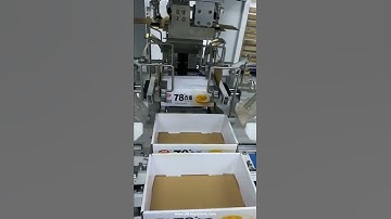 Food cake empty box tray case forming folding machine running video