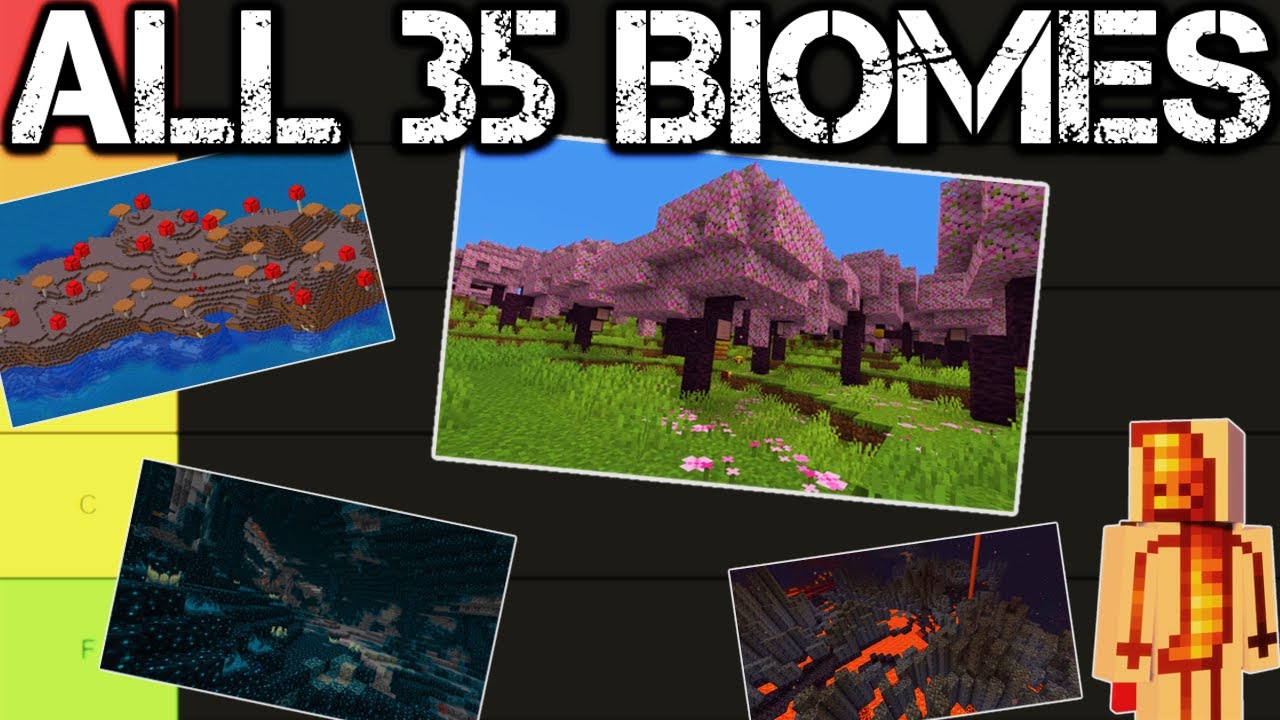 Best Minecraft Biomes – A Slice of Pi : MSA's Student Newspaper