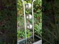 Fontana design acciaio inox