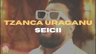 SEICII ❌ TZANCA URAGANU (REMIX)