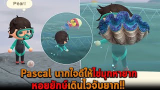 Pascal นากใจดีให้ไข่มุกหายาก หอยยักษ์เดินไวจับยาก Animal Crossing