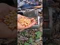 Survival life hack popcorn microwave for the wild survival outdoors camping lifehacks