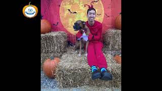 Glen Allen Halloween Party! by Holiday Barn Pet Resorts 18 views 1 year ago 53 seconds