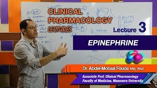 Autonomic Pharmacology (Ar) - Lec 03 - Epinephrine