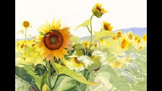 The Sunflower Trail in Watercolor