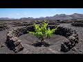 The Insane Truth About How Grapes Are Grown (Volcanoes &amp; Oceans!)
