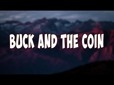 Buck And The Coin Of Destiny reveiw