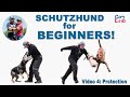 Schutzhund For Beginners: Protection!