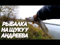 УСПЕШНАЯ РЫБАЛКА на ЩУКУ у Максима Андреева 2021 #ВЛАДИМИРОВСКИЕ_ПРУДЫ #КУБАНЬ_КЛАСС #Живите_в_Кайф