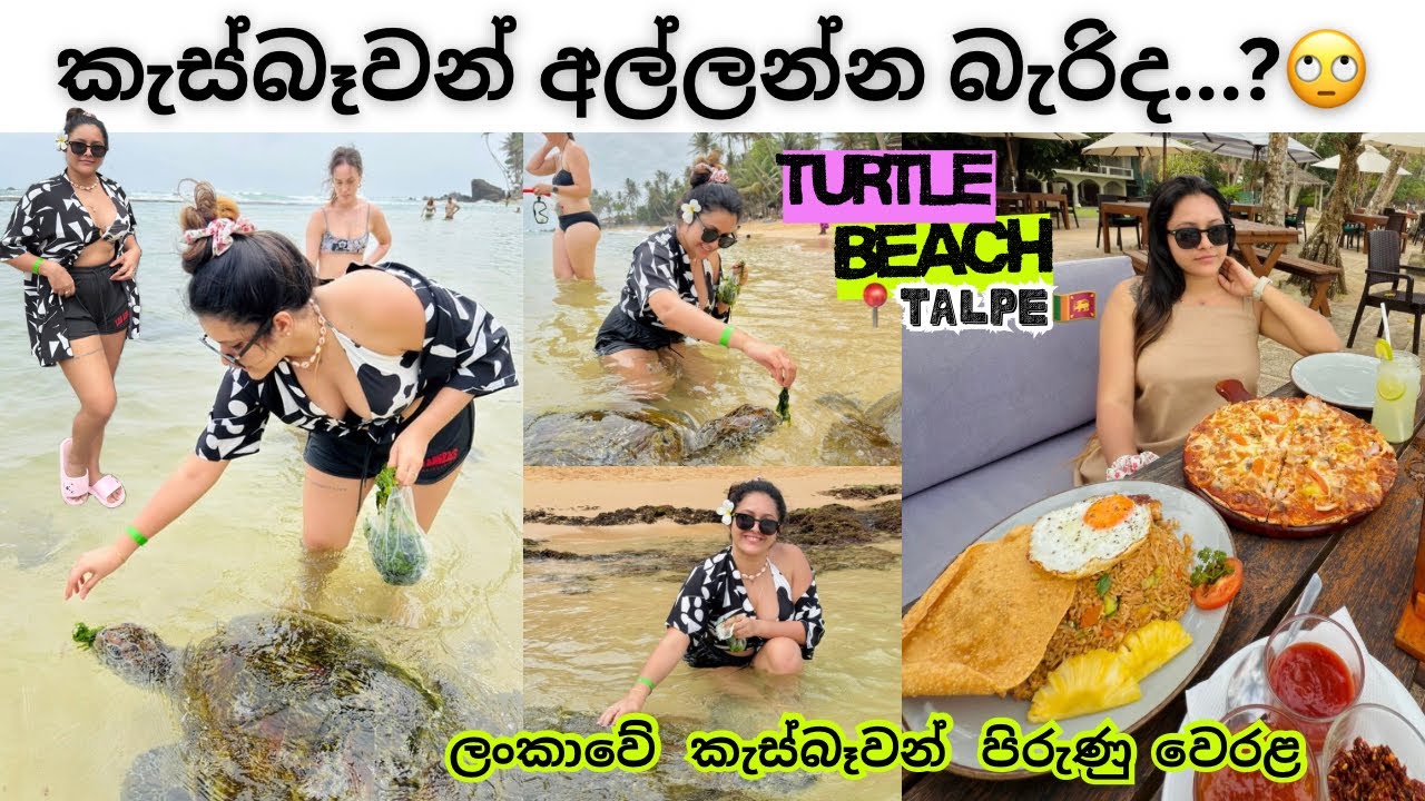 කැස්බෑවෝ අල්ලන්න ආස නම් 🐢| Turtle Beach 🏖️| ගාලු කොටුව | Ship Rock seafood 🍤 🍕| Talpe 🌊| Vlog 055