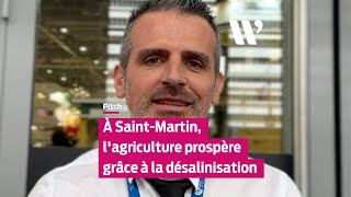 À Saint Martin, L'agriculture prospère grâce à la désalinisation