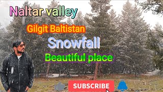 Naltar valley gilgit Baltistan Beautiful place   نلتر والی گلگت بلتستان ہنزہ بیوٹی فل پلیس