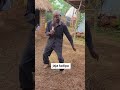 JAJA KATIPA NAKAYIMBA KABALONGO 
