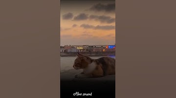 لا يَسمع سورة يُوسُف محزونٌ إلا استَراح♥️