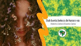 5 filmoj de Brazila Muziko