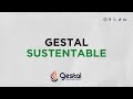 Gestal Sustentable - Reforestación