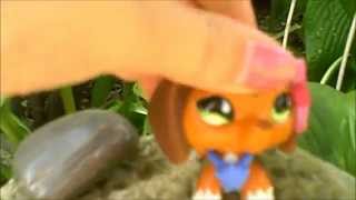 lps music video Who says