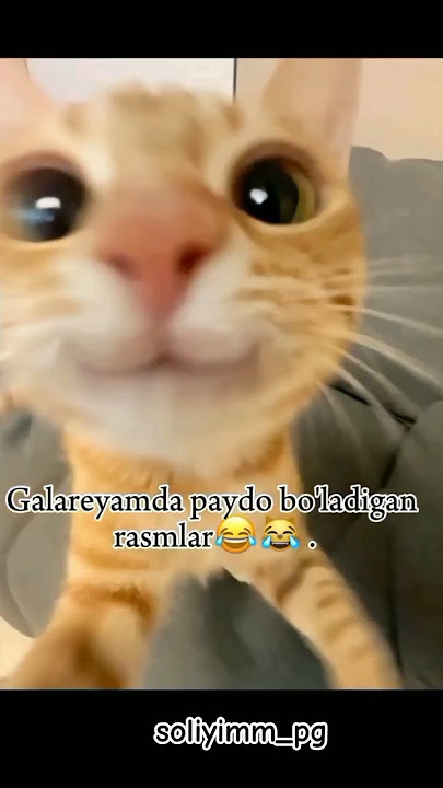 https://t.me/soliyimm_pg telegram kanalimga qowilila 🥹✅❤️