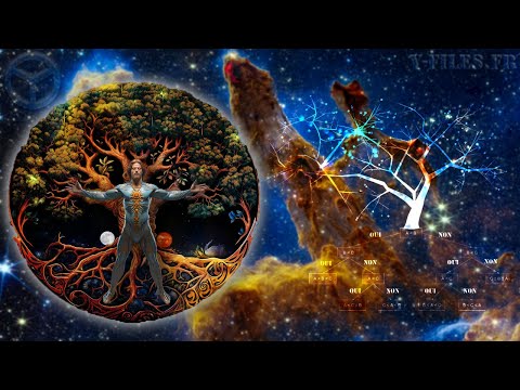 Vidéo: L'arbre de vie fait partie de la culture mondiale