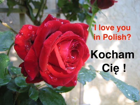 How to say I Love You in POLISH / Kocham Cię /