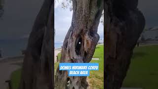 DOMES MIRIMARE HOTEL BEACH AREA #shortsvideo #shortsfeed