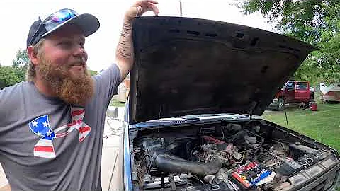 THE BEST OF WILDMAN FRED