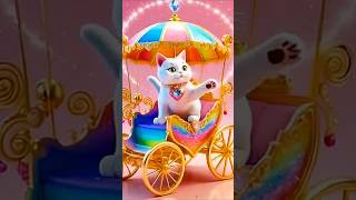 cancan#adorable #cuteanimal #cute #adorably #cutecat #cutepet #funny #funnyanimal #catlove