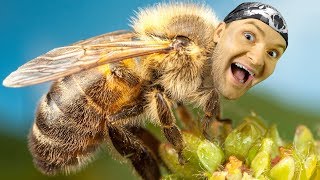 ОЖУЖЖИТЕЛЬНЫЙ ВИТЕК! ► Bee Simulator