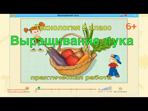 Выращивание лука в домашних условиях проект 2 класс