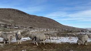 Road trip through New Zealand’s South Island