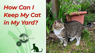 How Can I Keep My Cat in My Yard? #catvideos #tabbycat #catlover