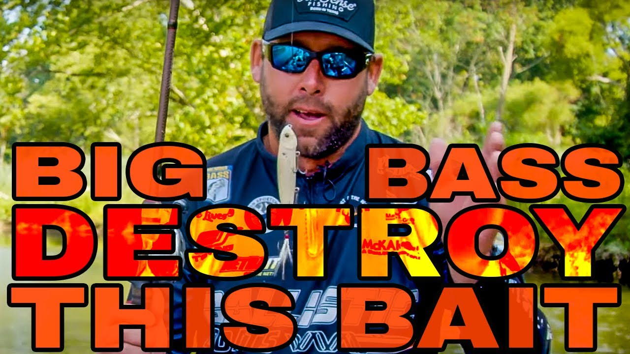 Big Bass ABSOLUTELY CRUSH Walking Topwater Baits – Bass Manager | The ...