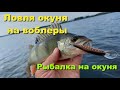 Рыбалка. Ловля окуня на воблер. Рыбалка на окуня.